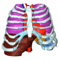 Biomechanical Modeling Consultants LLC logo - Similar company to Haptix Studio