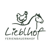 Lieblhof GmbH logo - Similar company to Farspeak