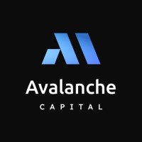 Avalanche Capital logo - Similar company to Nextgen Innovation