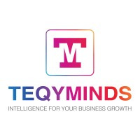 TeqyMinds logo - Similar company to Stablebattle