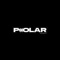 Polar Design Co. logo - Similar company to Polar Design