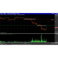 Palm Beach & Orlando Crude Oil Trading School logo - Similar company to South Asia Trading And Plastic Industries