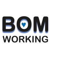BOM Working logo - Similar company to Start Bridge