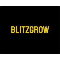 BlitzGrow logo - Similar company to Techatsix