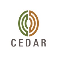 Cedar Management Consulting International logo - Similar company to Mcs Management Consulting & Selection