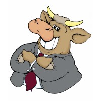 Bull Network Agency logo - Similar company to Benco Services