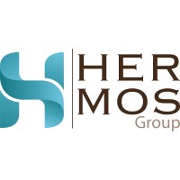 Hermos Group logo - Similar company to Thor Sağlık Spor Malzemeleri Ve Rehabilitasyon Sistemleri Medikal Ticaret Ltd.Şti.