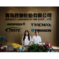 QINGDAO LANDSPIDER TIRE CO., LIMITED logo - Similar company to Excom Woudenberg