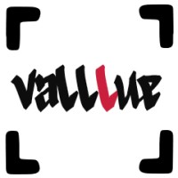 valllue logo - Similar company to Integra Emea