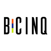 B-Cinq Technologies logo - Similar company to Kynze
