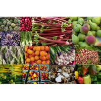 Mboobins Trading Enterprise