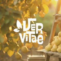 VerVitae logo - Similar company to Torrense