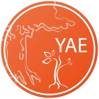 Young Academy of Europe logo - Similar company to Academia Das Ciências De Lisboa