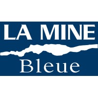 La Mine Bleue logo - Similar company to Dingue De Lunettes