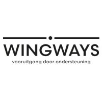 WingWays logo - Similar company to Wingway Autonomy