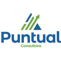 Puntual Servicios Financieros logo - Similar company to Eb Auditoría & Contabilidad