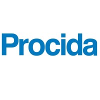Procida Construction Corp. logo - Similar company to Radson Development