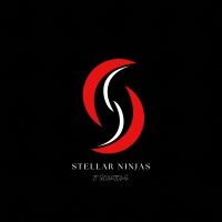 stellar ninjas logo - Similar company to Wb Tech