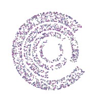 CapitalCode.Co logo - Similar company to Blaze Solutions Group