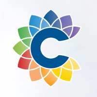 CONSCIOUS CAPITAL FOUNDATION logo - Similar company to Dst Wealth Management, Llc