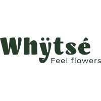 Whÿtsé logo - Similar company to C5