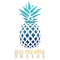 Blue Pineapple Travel logo - Similar company to Greystone Hotels