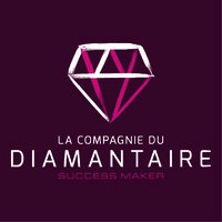 LA COMPAGNIE DU DIAMANTAIRE logo - Similar company to Diams
