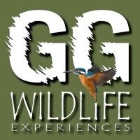 GG Wildlife Experiences logo - Similar company to The Next Write