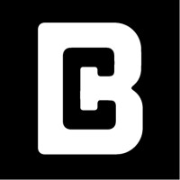 BOSSCAP Group logo - Similar company to Barra-Gi Consulting