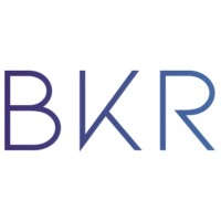 BKR Global logo - Similar company to Stonton Dynamics