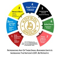 KOFSOL Group logo - Similar company to Blazehub