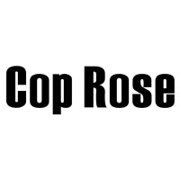 Cop Rose Robot Co.,LTD logo - Similar company to Netify Hub