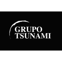 Grupo Tsunami logo - Similar company to Grupo Tsi