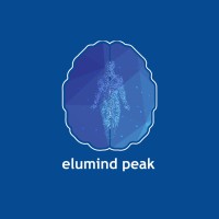 Elumind Peak logo - Similar company to Etech Solutions