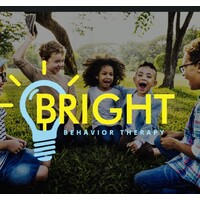 BRIGHT BEHAVIOR THERAPY LLC logo - Similar company to Chitter Chatter P.C.