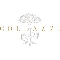 COLLAZZI logo - Similar company to Timotico Ltd
