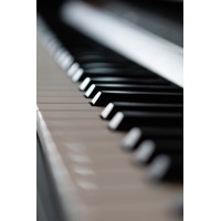 De Pianobar logo - Similar company to Peerkes Hoeve