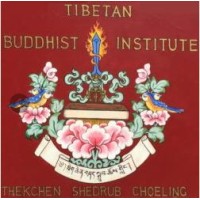 Tibetan Buddhist Institute logo - Similar company to Black Excellence Fund