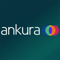 Ankura Jv And Partnership Practice