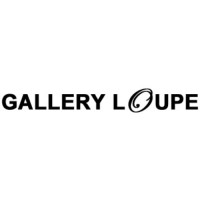 Gallery Loupe logo - Similar company to Eli Halili