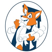 Foxes Academy Limited