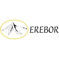 Erebor logo - Similar company to Erebor, Inc.