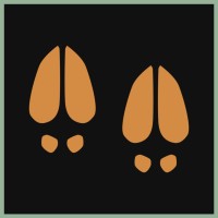 LES SAUVAGEONS logo - Similar company to Ankré