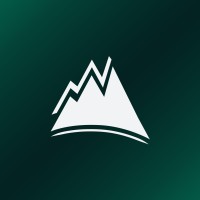 Advian Partners logo - Similar company to Bridge And Value