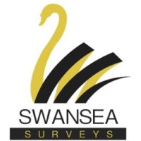 Swansea Surveys logo - Similar company to Alisteshaar