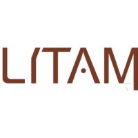 Litam Srl logo - Similar company to Prostorage Lda
