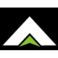 Viva Growth Strategies logo - Similar company to Binary Bridge