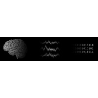 NeuroBionics Lab logo - Similar company to Melbourne University Biomedical Engineering Society (Mubes)