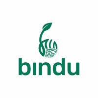 Bindu logo - Similar company to Bindu