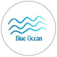 Chamber of African Blue Economy logo - Similar company to Dawncraft Technologies